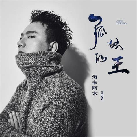 海来阿木-孤独的王DJ版 2021最新流行歌曲[下载] - 音乐地带 - 华声论坛