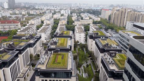为城市增添“第五立面”的美丽风景！浦东新增立体绿化5.77万平方米_建设_新区_屋顶