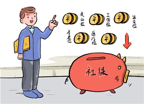上海社保断缴，补缴流程？按照8000基数交需要多少钱？_缴费_个人_比例