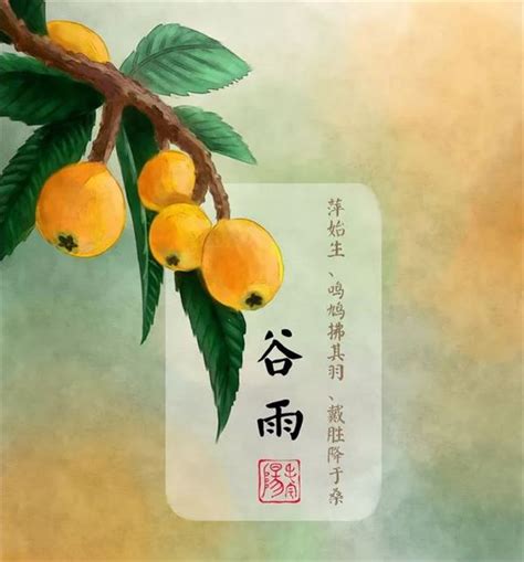 饮一盏谷雨茶，和春天说再会「二十四节气」-爱普茶网,最新茶资讯网站,https://www.ipucha.com