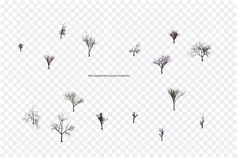 白枝树图片