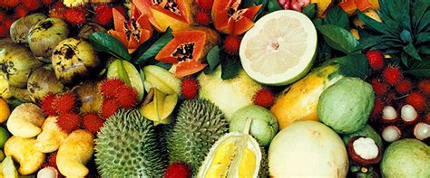 环游东南亚必吃的十大热带水果__凤凰网