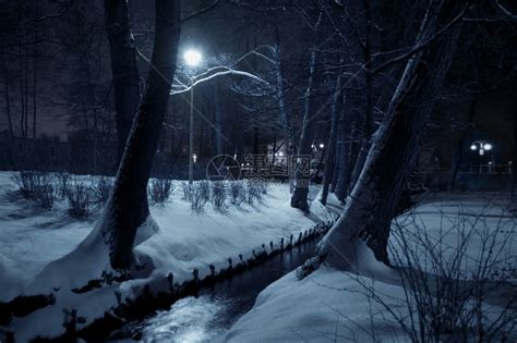 晚上冬天公园黑高清图片下载-正版图片506962612-摄图网
