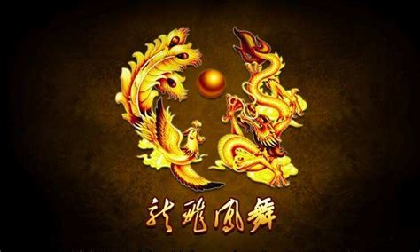 《龙飞凤舞》-中国民俗文化研究院