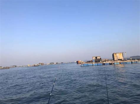 2020年开启惠州东江第一钓 鱼获满满的 - 钓鱼之家