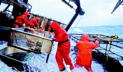 2019年中国海水产品发展现状分析，以天然生产为主，人工养殖为辅[图]_智研咨询