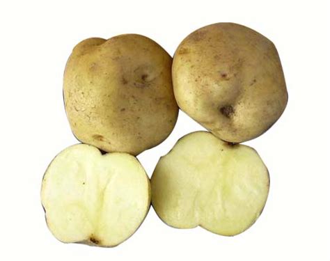 Potato土豆直播下载-potato土豆直播软件官方版下载-快用苹果助手