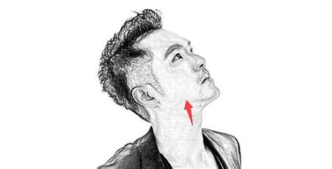 耳后见腮图片