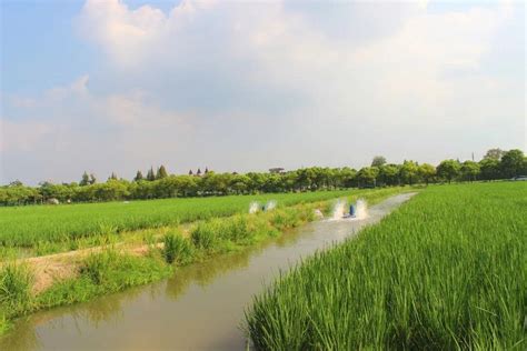 海宁市许村镇全力整治水环境 创建污水零直排区 提升环境美——浙江在线