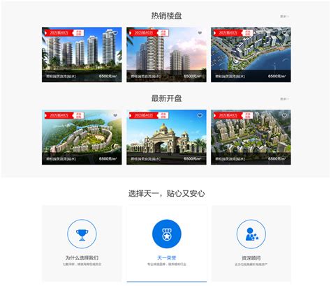 房地产网站建设解决方案——海南天一房地产网站建设项目 - 建站经验 - 广州网站建设|网站制作|网站设计-互诺科技-广东网络品牌公司