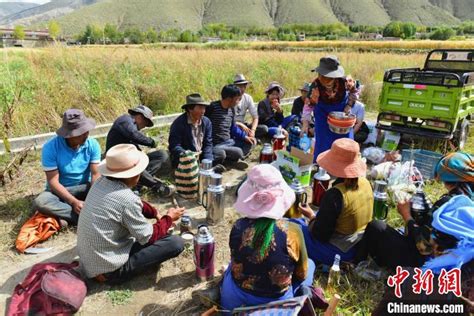 西藏拉萨市2019年GDP达617.88亿元 增长8% - 西藏在线
