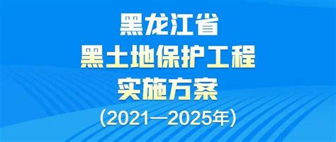 关于印发《黑龙江省2020年黑土地保护性耕作实施方案》的通知_政策法规_中国粮油信息网