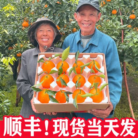 顺丰正宗眉山爱媛38号果冻橙子10斤新鲜应季应季水果手剥橙整箱甜-淘宝网