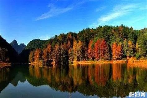 红枫湖秋天的风景岛屿风光场景高清摄影大图-千库网