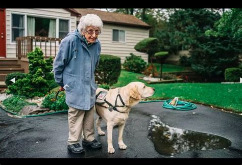 90岁老奶奶孤独等待着死亡，一条拉布拉多的出现让她找回了希望！
