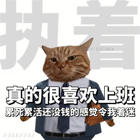 反思表情包图片