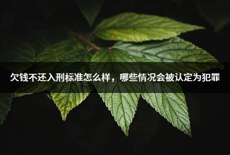 河北台欠债不还案件黑名单查询_经济纠纷_资讯