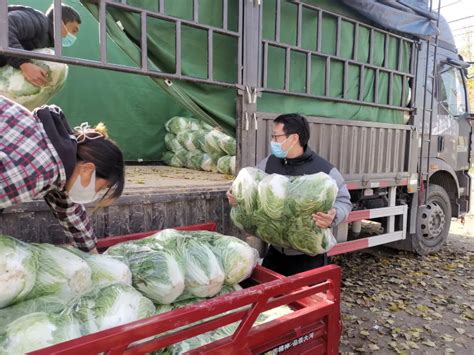 焦作文旅爱心助农 破解蔬菜销售之难 - 河南省文化和旅游厅