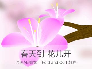 春天到，花儿开——原创AE脚本Fold and Curl介绍_bigxixi-站酷ZCOOL