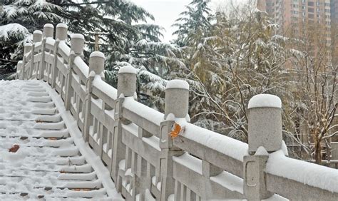 雪落长安时图片