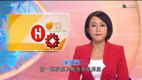 香港无线电视TVB台标志logo图片-诗宸标志设计