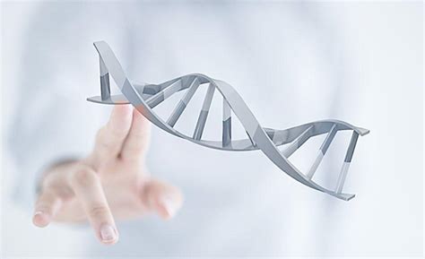 无创胎儿亲子鉴定——检验流程-海南寻真里生物DNA研究中心