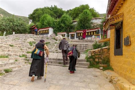 西藏林芝：雪域高原列车穿越花海-人民图片网