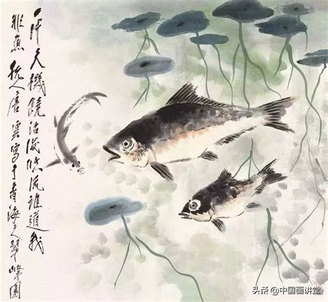 国画鱼大全图片