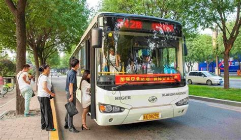 2020年青岛公交停运的线路有哪些和调整线路信息_旅泊网