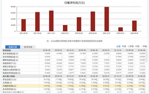 300476-胜宏科技-2023年半年度报告.PDF_报告-报告厅