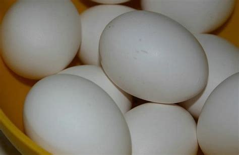 鸭蛋不能和什么一起吃 鸭蛋的食用禁忌
