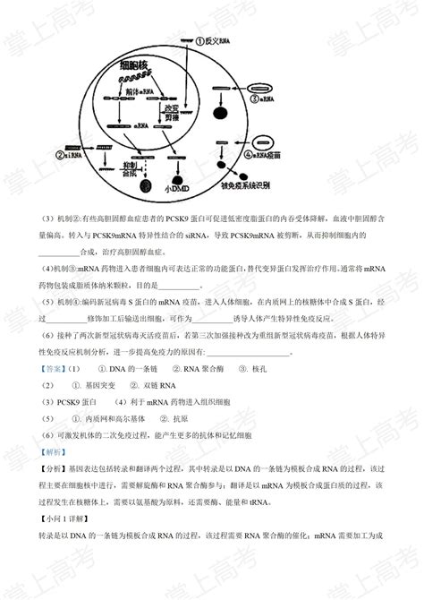 2019江苏高考生物真题及答案 —中国教育在线