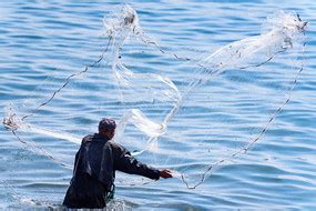 白洋淀渔民使用古老方式捕鱼