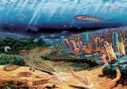 多国大学共推新研究：寒武纪生命爆发地云南澄江是现代动物发源地 - 知乎