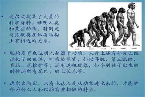 人类不是由古猿进化而来？科学家根据证据提出另一理论