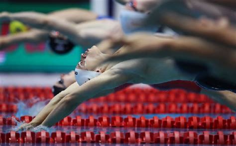 2021年国际泳联游泳世界杯赛程出炉 均为短池赛_手机新浪网