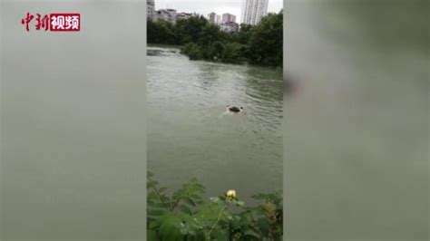 水池边上发现一大洞，小伙伸手一抓，有了意外收获！|热门|娱乐|经典_新浪新闻
