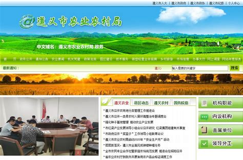 农村电子商务网站策划书Word模板下载_编号lzajwbdb_熊猫办公