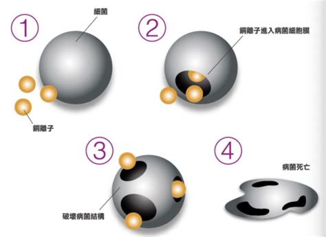 四水合铜离子的配位键表示