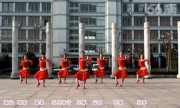 藏族舞蹈《弦子舞基础》