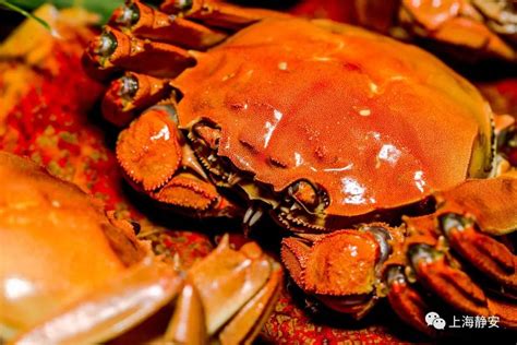 一般来说螃蟹煮熟后为什么会变红（你知道蒸煮过程蟹壳为什么会变红吗？） | 说明书网