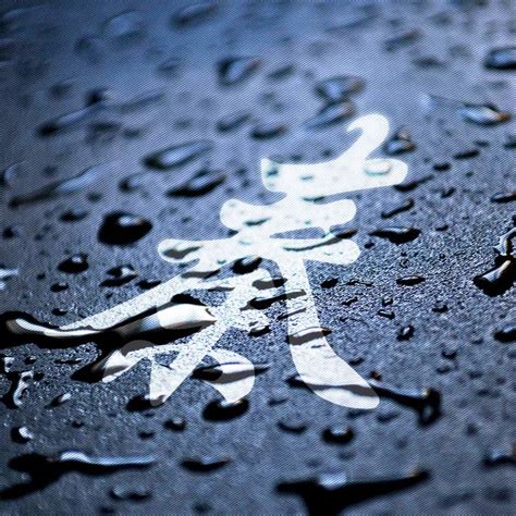 非主流姓氏头像朱