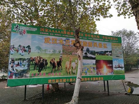 2023九峰森林动物园游玩攻略,武汉市能观赏陆地动物的好象...【去哪儿攻略】