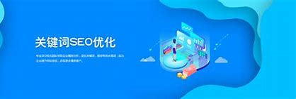 通州seo网站优化公司 的图像结果