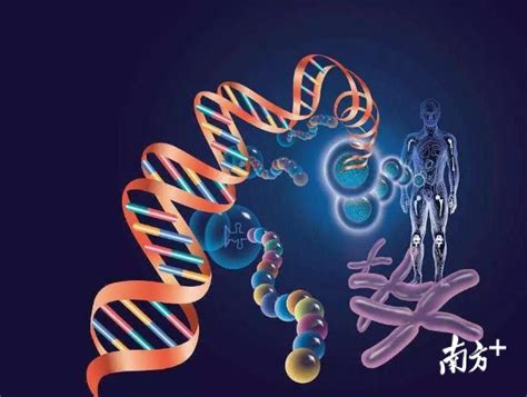 人类基因组 - 快懂百科
