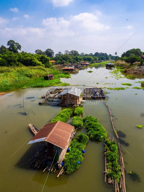 泰国乌泰他尼Sakaekrung河上漂浮的植物中的潘丹植物漂浮农场的顶部视图当地传统的香兰农业美丽的高清图片下载-正版图片506306711-摄图网