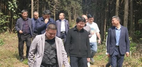 江西宜春袁州区委组团到黄袍山公司学习考察