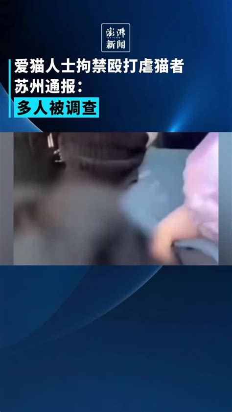 爱猫人士拘禁殴打虐猫者，苏州通报：多人被调查_凤凰网视频_凤凰网