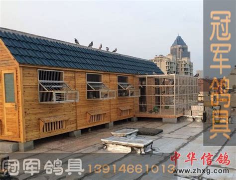 永安石林鸽舍-中国信鸽信息网相册