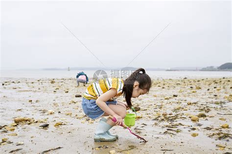 在海边捡石子的小孩高清图片下载-正版图片502217765-摄图网
